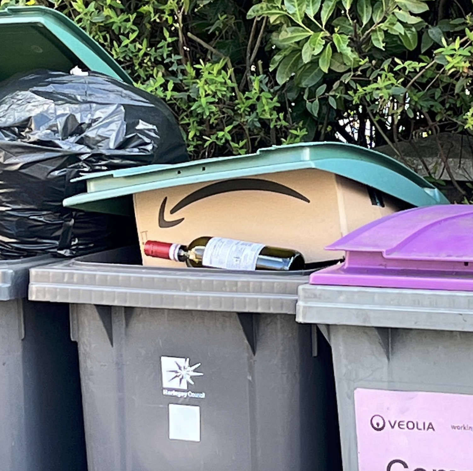 amazon-sad