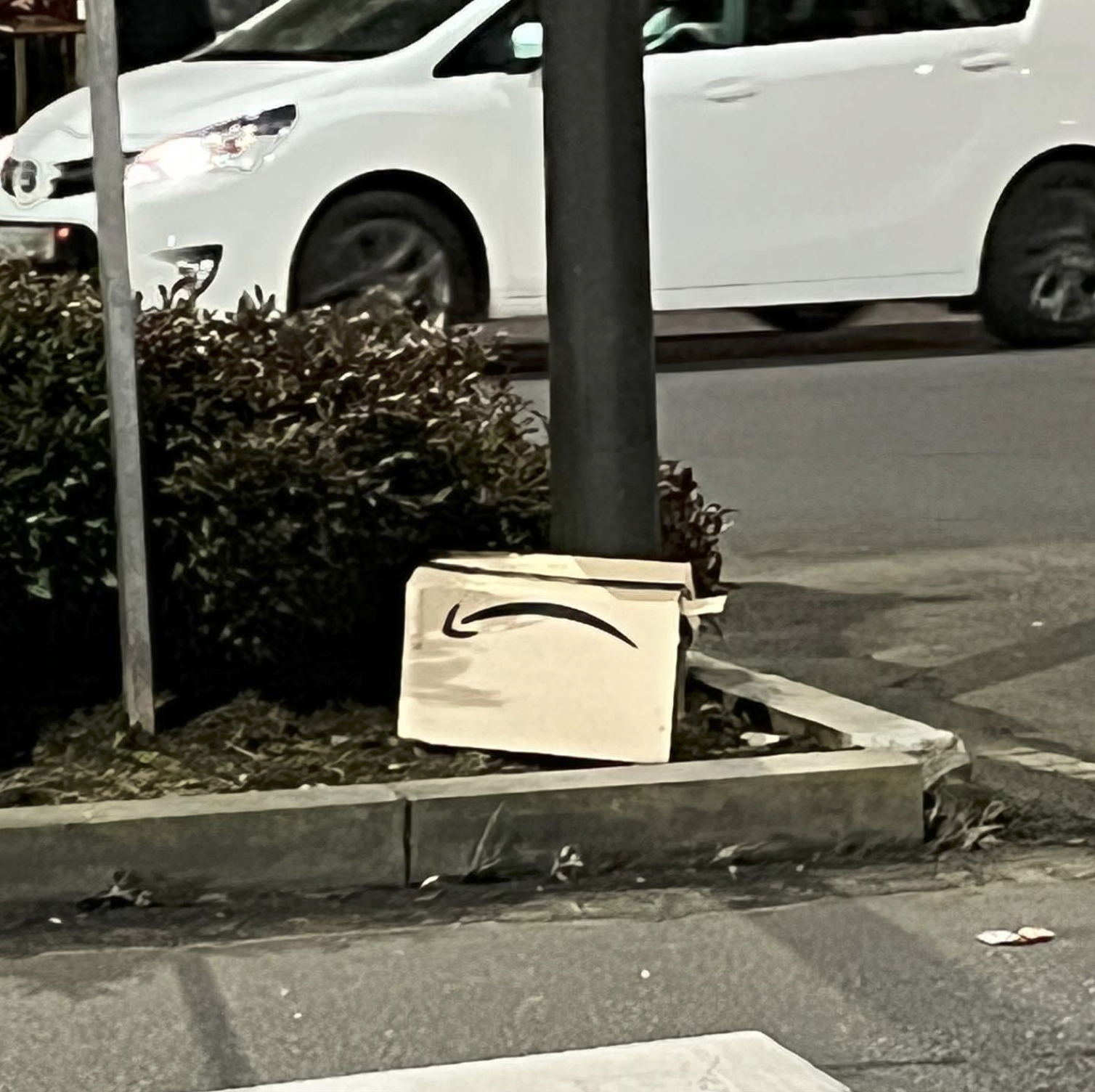 amazon-sad