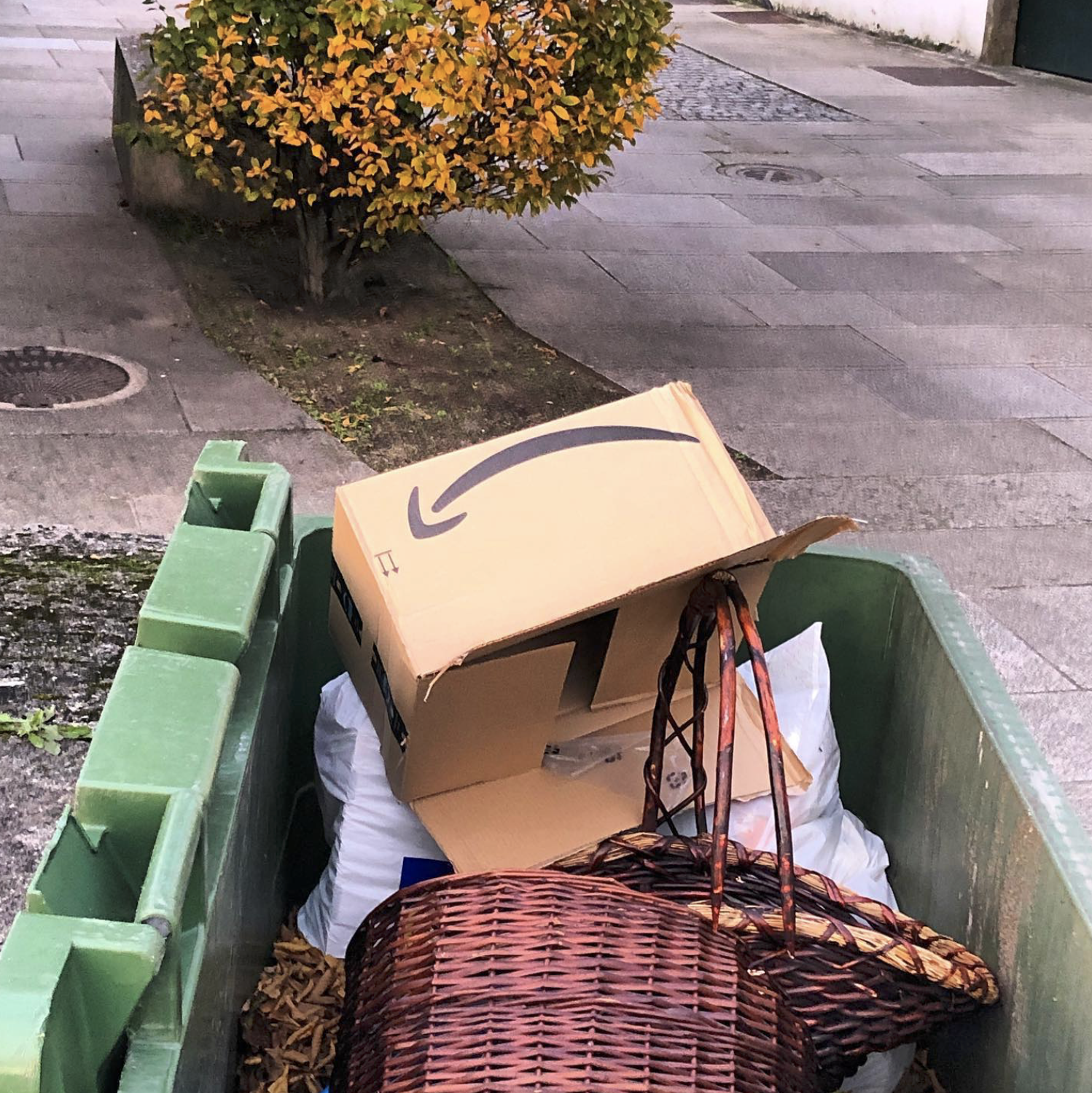 amazon-sad