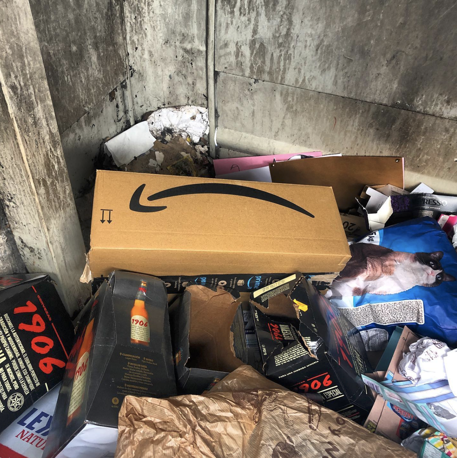 amazon-sad